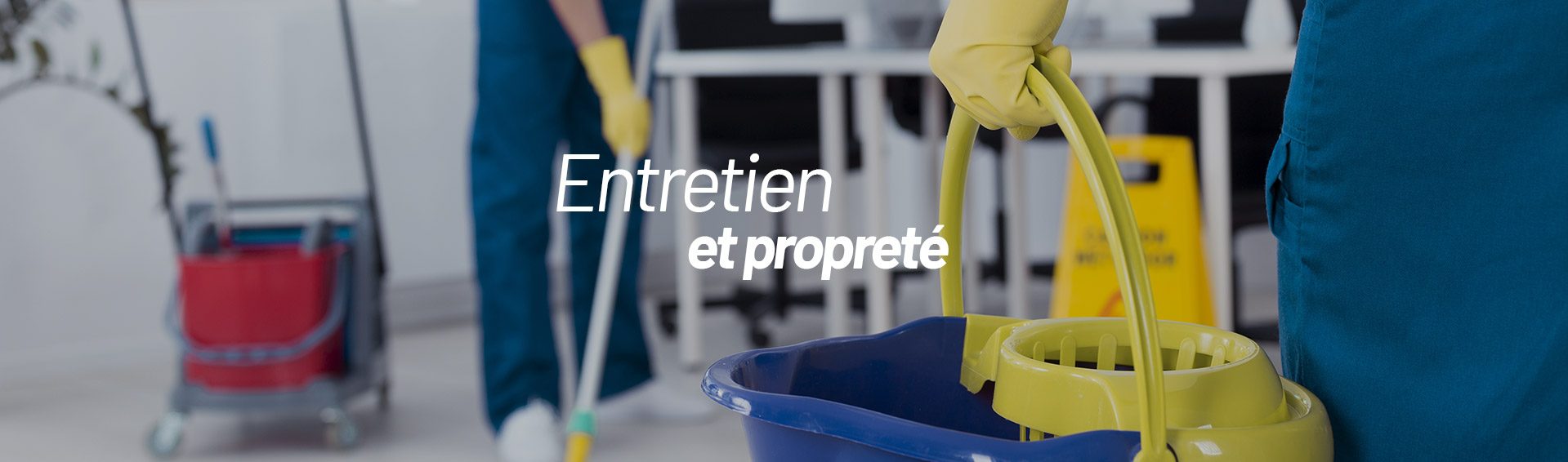Entretien d'espaces professionnels Entretien d'espaces professionnels
